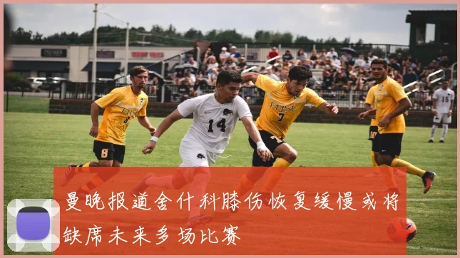 曼晚报道舍什科膝伤恢复缓慢或将缺席未来多场比赛