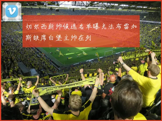 切尔西新帅候选名单曝光法布雷加斯缺席白堡主帅在列