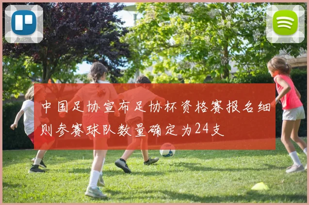 中国足协宣布足协杯资格赛报名细则参赛球队数量确定为24支