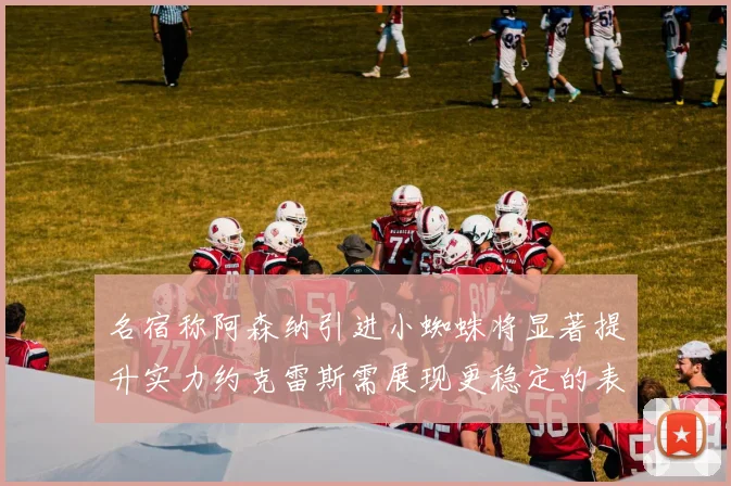 名宿称阿森纳引进小蜘蛛将显著提升实力约克雷斯需展现更稳定的表现