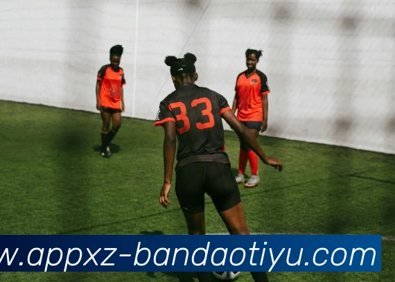 App Interface Preview