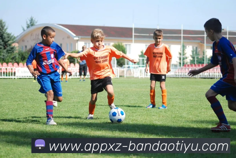 半岛体育APP 封面图